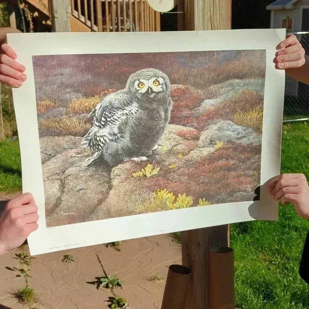 "Those Eyes" by Liz Lesperance